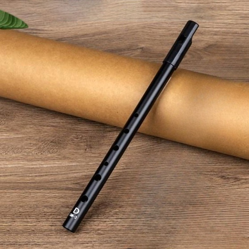 Tin Whistle Flute - Flet blaszany D dla początkujących, flet